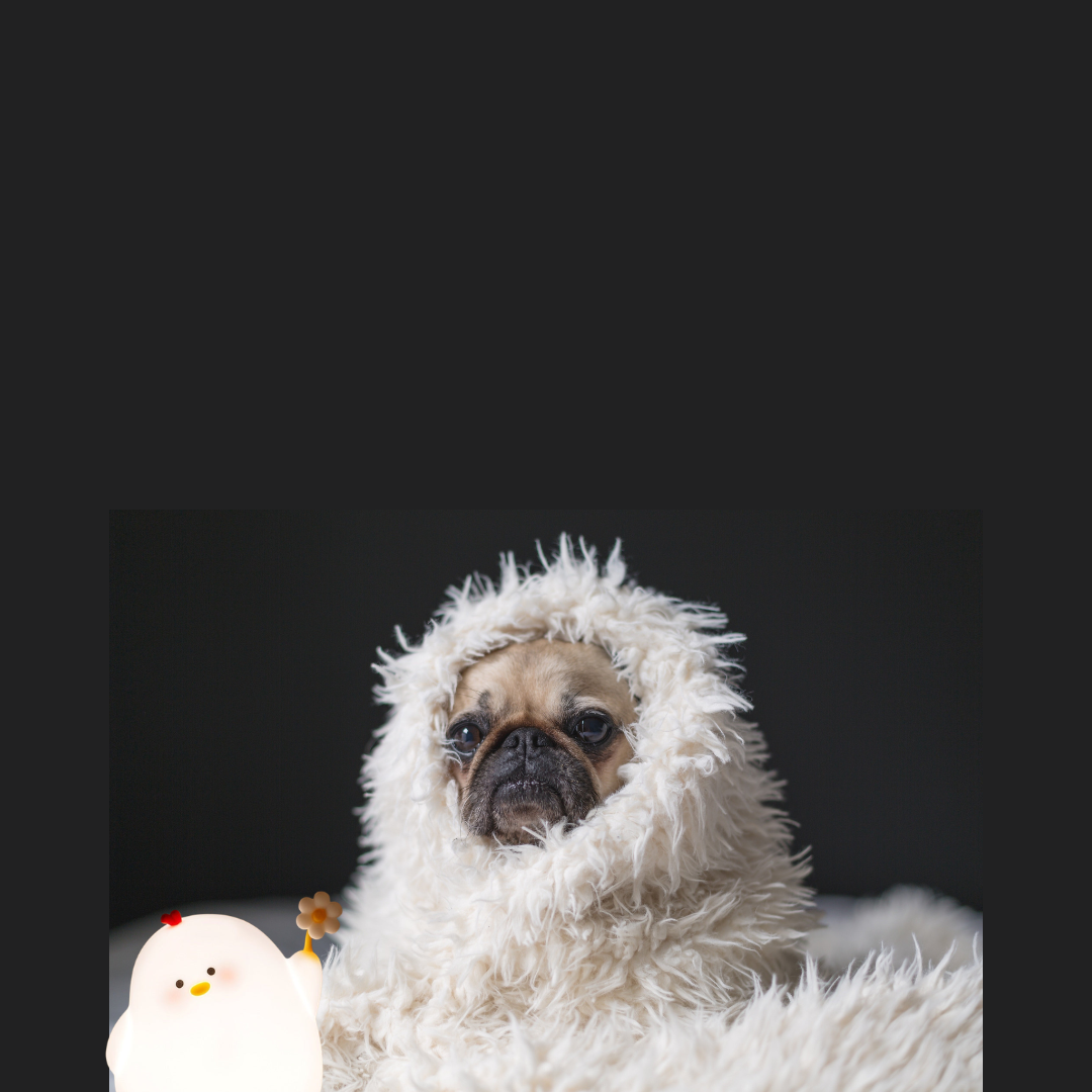 Pet Calming Night Light – Soft Glow Comfort Lamp