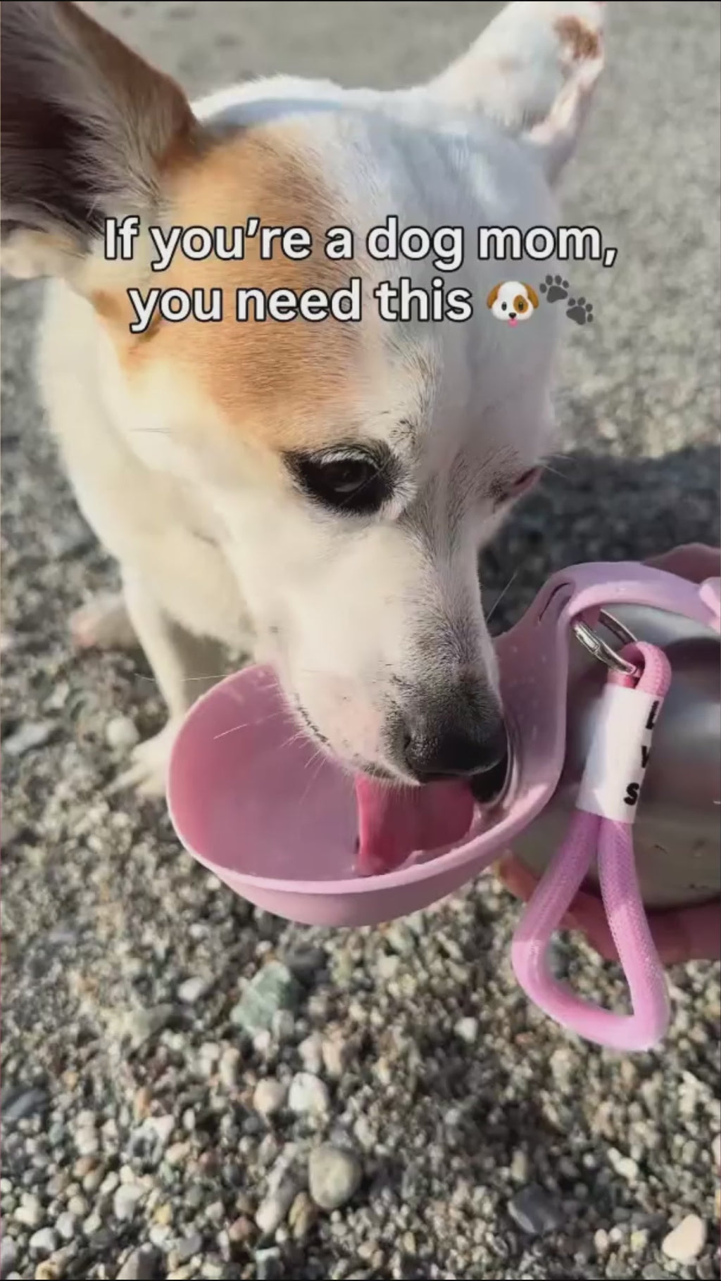 Portable Pet Water Bottle – Easy Hydration On Every Walk