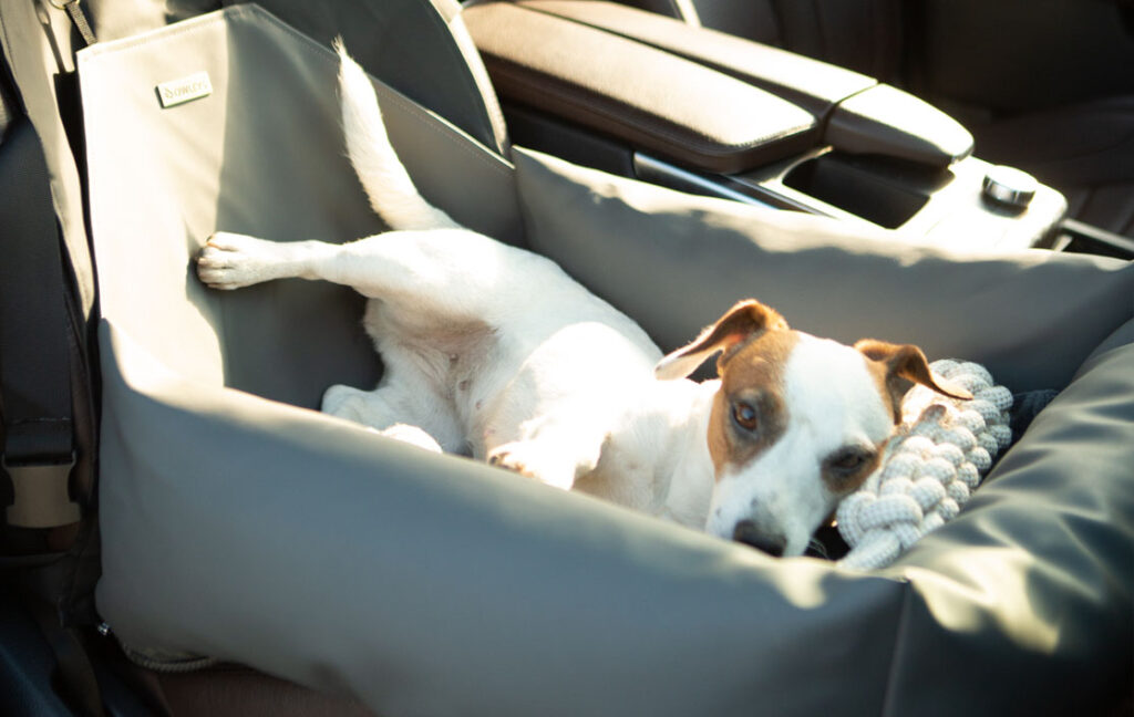 puppy car seat